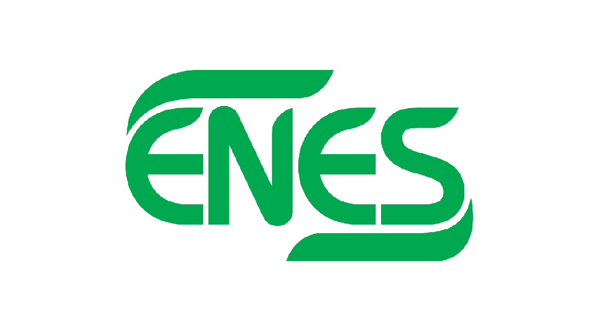 Подведены итоги регионального конкурса ENES – 2018